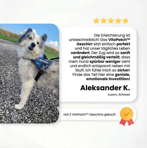 VitoPatch™ Premium Geschirr